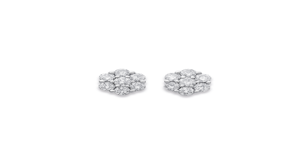 9ct White Gold, Cluster Diamond Earrings | Stewart Dawsons