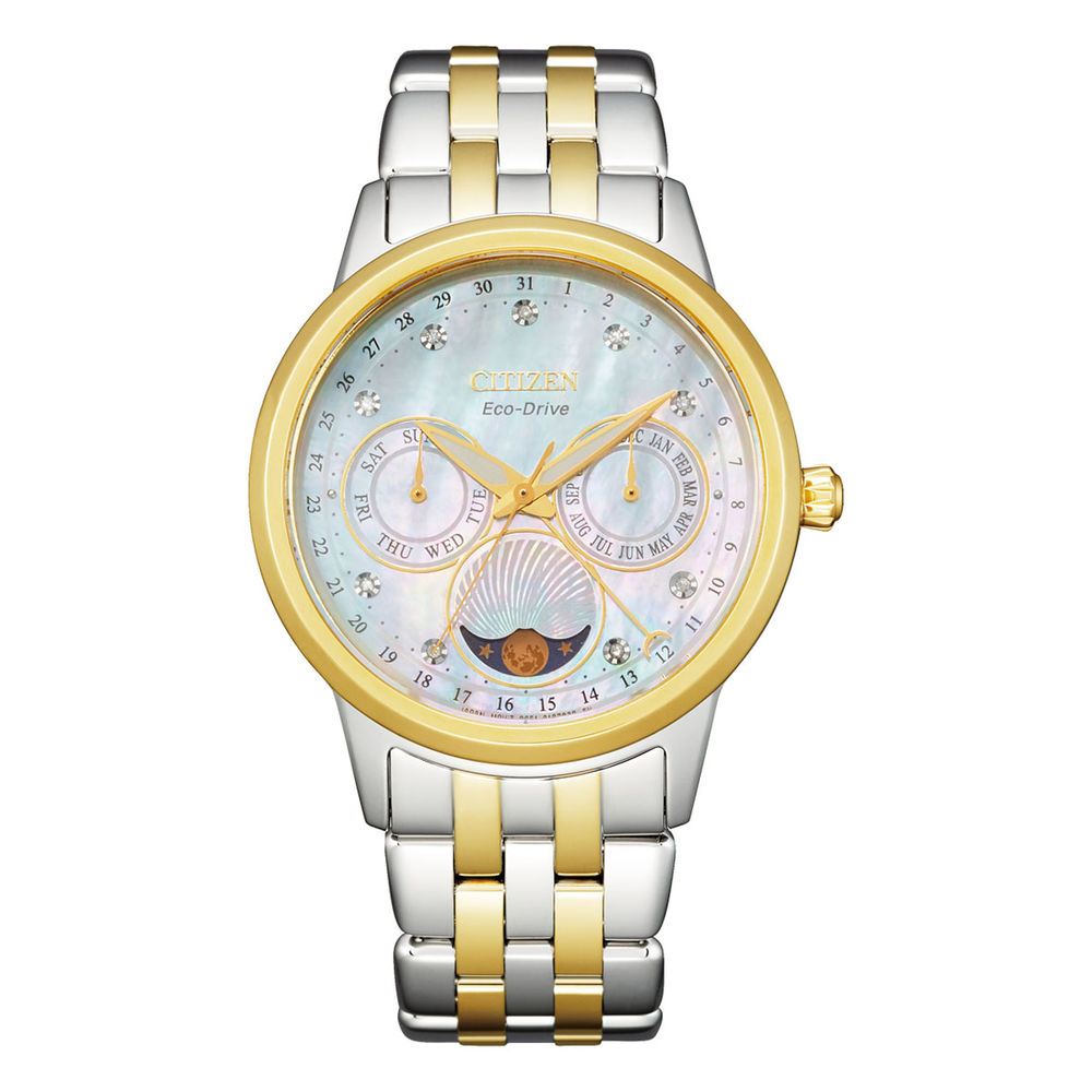 Citizen eco drive moon phase hot sale